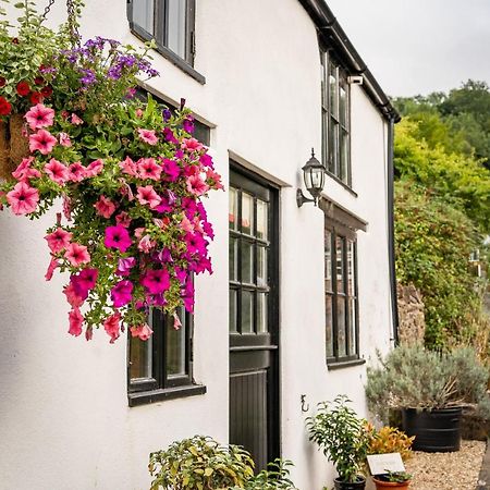 Woodview - Cosy 1840S Cottage In Chew Valley And Mendip Aonb Compton Martin Εξωτερικό φωτογραφία
